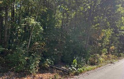 7670 Five Lakes Drive, Farwell, MI 48622