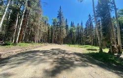 1772 Spruce Drive, Cimarron, CO 81220