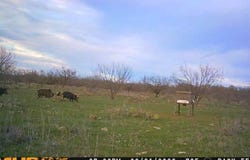 Tbd County Road 423, Cisco, TX 76437