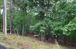 16207 SUMNEY DR, HAYMARKET, VA 20169