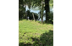 2617 Shipps Drive, Norfork, AR 72658