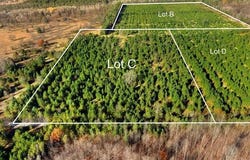 15 ACRES C WALLIN ROAD, COLFAX TWP, MI 49683