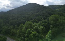 27 Paint Creek Road, Hansford, WV 25103