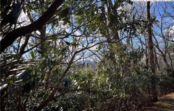 Locust Point Drive, Boone, NC 28607