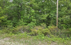 Balsam Circle lot: 470, 471 & 472, Presque Isle, MI 49777