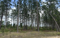 00 /Tbd Snipes Pond Rd, Aiken, SC 29805