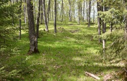 1813 State Highway 101, Florence, WI 54121
