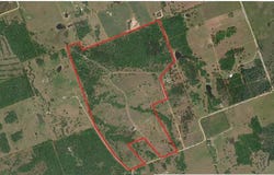 14393 County Road 228, Bedias, TX 77831