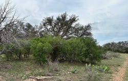 TBD Private Road 644, Brady, TX 76825