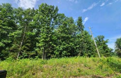 Pinal Circle, Cherokee Village, AR 72529