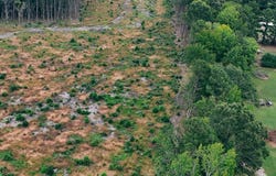 Parcel A Haywood Smith Road lot: Parcel A, Hertford, NC 27944