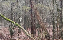 30 Jubileo Way, Hot Springs Village, AR 71909