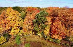 V/L Hamilton Rd, Battle Creek, MI 49017