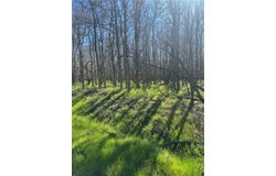 289 Iva LN, Bastrop, TX 78602