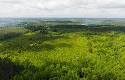 Highway 393, Louisville, MS 39339