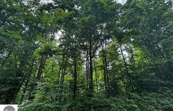 4856 Mancelona Road, Mancelona, MI 49659