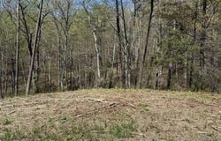 475 Bayside Boulevard, Bean Station, TN 37708