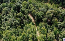 Tract 9 Cook Lane, Cromwell, KY 42333