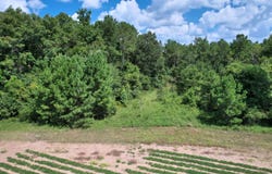 0 Veney's Mill Pond Rd. & George Perry Rd., Dawson, GA 39877