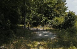 0 Middleburg Road, Lexington, TN 38351