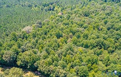 01 Chimney Springs Drive, Goochland, VA 23063
