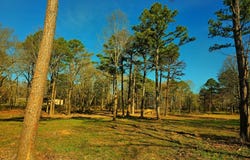 TBD 222nd Rd, Talihina, OK 74571