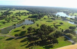 16070 SE 55 AVE RD, SUMMERFIELD, FL 34491