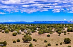 Dusty Rose Ranch Rd #A 16 Acre, Seligman, AZ 86337