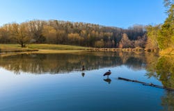 4975 Browntown Road, Chattanooga, TN 37415