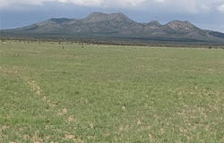 32 County Road 28, Stanley, NM 87056