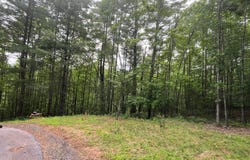 TBD Cranberry Creek Road, Laurel Springs, NC 28644