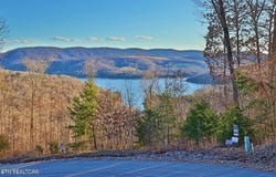Lot 440 Feldspar Rd, New Tazewell, TN 37825
