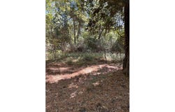 36650 Section B Neuces Drive, Trinity, TX 75862