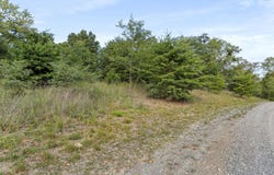 LOTS 5 & 13 CARDINAL RIDGE ESTATES, ROMNEY, WV 26757