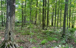 Lot 4 Balsam Drive, Birchwood, WI 54817