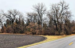 Tbd Main, St. Thomas, ND 58276