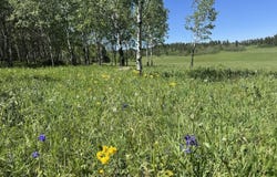 HWY 85, Lead, SD 57754