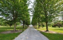 6130 Steamtown Road, Ashley, OH 43003