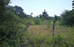 Tr 3 4 Wire, Bowie, TX 76230
