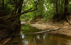 235 Woodrow Martin Road, Brandon, MS 39042