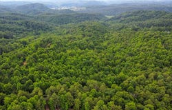 Tbd Long Bow, Galax, VA 24333