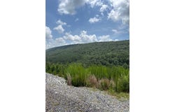 30 Boktukalo Preserve, Honobia, OK 74549