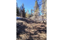 Drews Road, Beatty, OR 97621