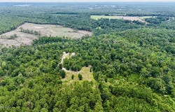 40+/-Acres Luther Davis Road, Lucedale, MS 39452