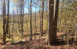 2200 Overton Road, New Albany, PA 18833