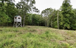 Tract 4 Route 4, Squires, MO 65755