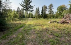 1608 FREEDOM TR, Tomahawk, WI 54487