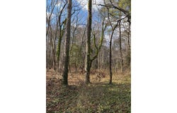 SALTWORKS RD lot: 18, EXMORE, VA 23350