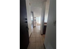 16 AMAPOLA, CAROLINA, 00979