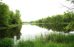 596 Route 4008, Forksville, PA 18614